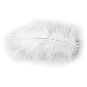 Comparateur de prix : Chaks POCHETTE PLUMES 10G 5-10CM BLANC