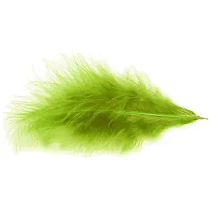 Comparateur de prix : Chaks POCHETTE PLUMES 10G 5-10CM VERT ANIS