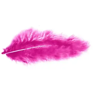 Comparateur de prix : POCHETTE PLUMES 10G 5-10CM ROSE FUCHSIA