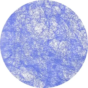 APTAFÊTES 10 sets de table non tissé ronds bleu Taille Un pas cher
