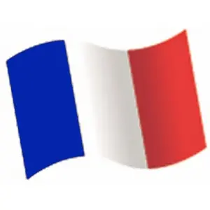 Comparateur de prix : Sachet de 16 Confettis en bois Drapeau français