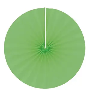RueDeLaFete Lot de 4 grands éventails papier 40cm, Vert pas cher