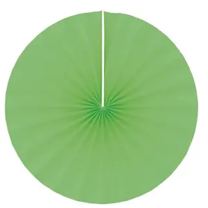 RueDeLaFete Lot de 4 éventails papier 20cm, Vert pas cher