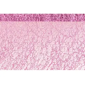 RueDeLaFete Ruban de table Glitter 10cm, Vieux rose pas cher