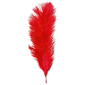 Comparateur de prix : Sachet de 5 Plumes d'Autruche 20-25cm, Rouge