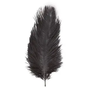 Chaks 0718-10, Sachet de 2 Plumes d'Autruche 30-35cm, Noir pas cher