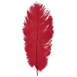 Comparateur de prix : Sachet de 1 Plume d'Autruche 55-60cm, Rouge/Bordeaux