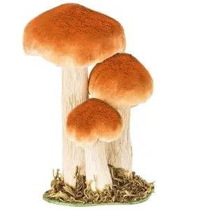 RueDeLaFete 3 CHAMPIGNONS BRUN BLANC SUR SOCLE 18 CM  Blanc pas cher
