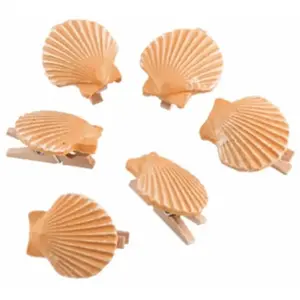 RueDeLaFete Lot de 6 COQUILLAGES résine sur Pince 3cm pas cher