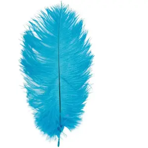 RueDeLaFete Sachet de 1 Plume d'Autruche 55-60cm, Turquoise pas cher