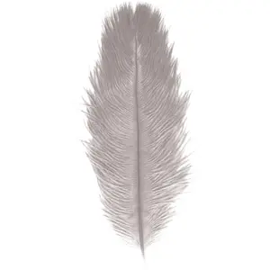 RueDeLaFete Sachet de 1 Plume d'Autruche 55-60cm, Gris clair pas cher