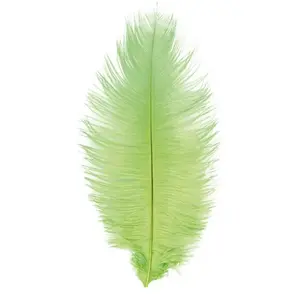 RueDeLaFete Sachet de 1 Plume d'Autruche 55-60cm, Vert pas cher