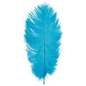 RueDeLaFete Sachet de 5 Plumes d'Autruche 20-25cm, Turquoise pas cher
