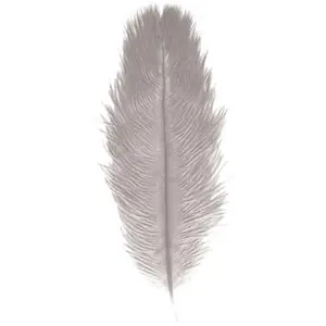 RueDeLaFete Sachet de 5 Plumes d'Autruche 20-25cm, Gris clair pas cher