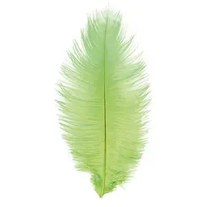 RueDeLaFete Sachet de 2 Plumes d'Autruche 30-35cm, Vert pas cher