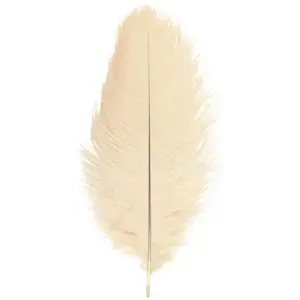RueDeLaFete Sachet de 5 Plumes d'Autruche 20-25cm, ivoire pas cher