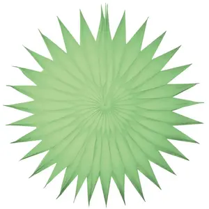 RueDeLaFete Lot de deux éventails alvéolés luxe 32 cm, Vert pastel pas cher