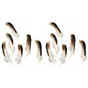 RueDeLaFete Sachet de 24 Plumes Noir/Brun/Blanc 12cm pas cher