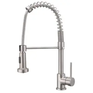 ESSEBAGNO Robinet mitigeur de cuisine Plimo - Avec douchette - Façon inox
