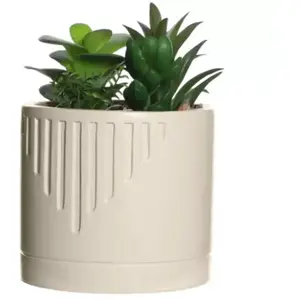 Plante grasse artificielle en pot Ornami l.10 x H. 19,5 cm blanc