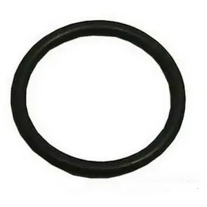 INDESIT - Joint OR (23,81X2,62) pour lave vaisselle INDESIT pas cher