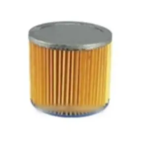 Cartouche filtrante s21 pour aspirateur aquavac pas cher