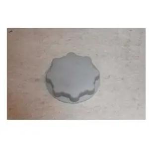 Bouchon bac à sel pour lave-vaisselle Indesit - DFG054BFR C00303458