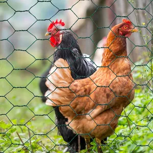 IDMARKET Grillage pour poules vert 1x25M maille 25mm triple torsion cl... pas cher