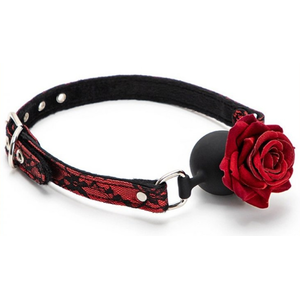 Comparateur de prix : Baillon Boule avec Rose BUD GAG Rouge