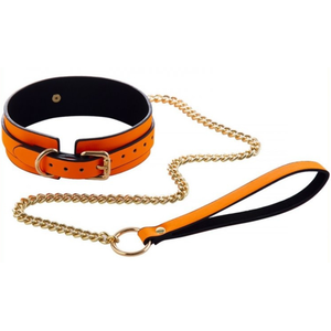 Collier-Laisse Phosphorescent LUMINOUS Orange pas cher
