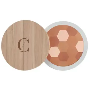 Couleur Caramel Poudre Mosaïque n°233 Teint Mat 10g pas cher