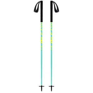 BLACK CROWS Oxus (green/yellow) pas cher