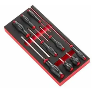 FACOM - Module mousse 10 tournevis Protwist Cruciforme - MODM.AT5PB pas cher