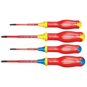 Facom 1 Jeu De Tournevis ProtwistÂ® BorneoÂ® Pour Empreintes Mixte Facom