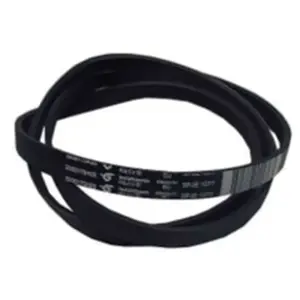 Bauknecht D01 - Courroie pour Lave-Linge beko 2005170400 pas cher