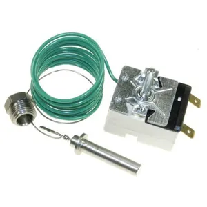 Kärcher Thermostat pour nettoyeur haute-pression Karcher 66858680 pas cher
