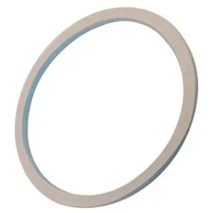 Indesit C00113823. JOINT FEUTRE ARRIERE DE TAMBOUR INDESIT