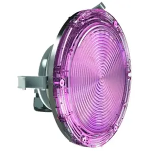 Projecteur led Brio-Z ZX30 pour niche standard PAR56 - Couleurs rgbw - 30W CceiVendu parcdiscount