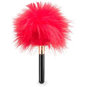 Petit plumeau pour jeux coquins Caress pas cher