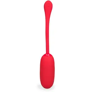 Oeuf vibrant confort et douceur 12 modes Palermo Vibromasseur à distan...
