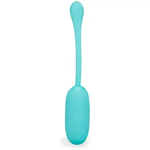 Oeuf vibrant confort et douceur 12 modes Palermo Vibromasseur à distan...