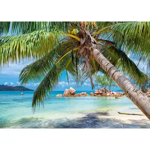 Alipson Puzzle Plage Tropicale pas cher