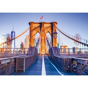 Alipson Puzzle Brooklyn, New York pas cher