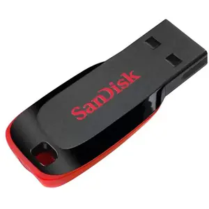 Clé USB 2.0 SanDisk 128 Go pas cher