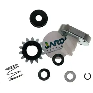 JARDIAFFAIRES Pignon de démarreur métal 14 dents compatible avec Briggs StrattonVendu paramazon