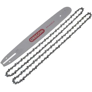 Jardiaffaires - Combo Oregon Pro guide 40cm 160sxea041 + 2 chaines 91P...Vendu paramazon