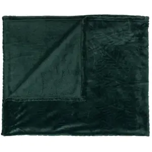 Comparateur de prix : MOBILIBRICO Home Deco Factory - Plaid flanelle embossé vert sapin - 120x150 cm T.U
