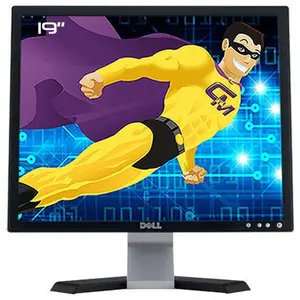 Écran 19" LCD SXGA Dell E198FPB pas cher