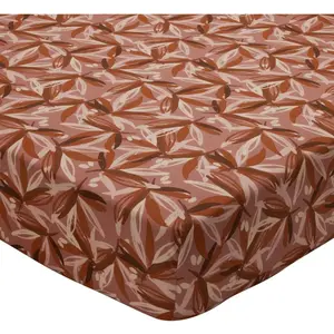 Becquet Drap housse MONDE VEGETAL imprimé feuilles, multicolore