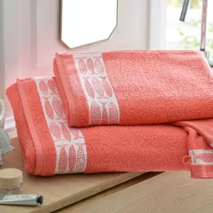 Becquet Lot de 2 gants de toilette SARDINETTE orange corail en coton pas cher